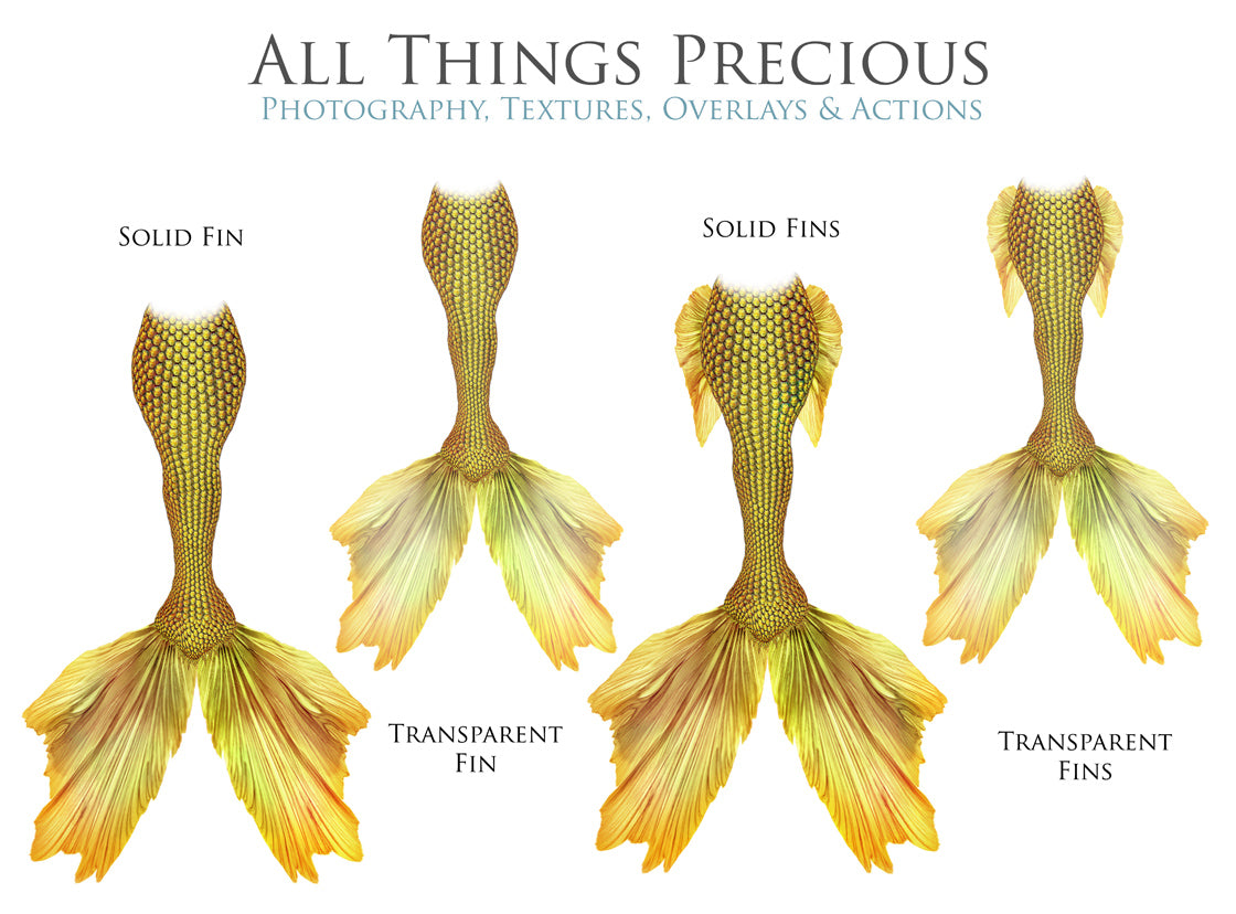 MERMAID TAILS Set 8 - Digital Overlays